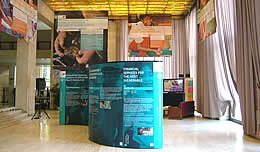 Seleccione para ampliar la imagen