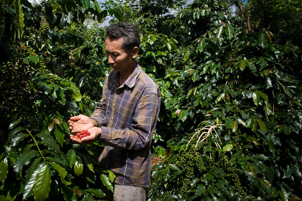 Joining forces to increase employment opportunities in the rural economy of Lao PDR