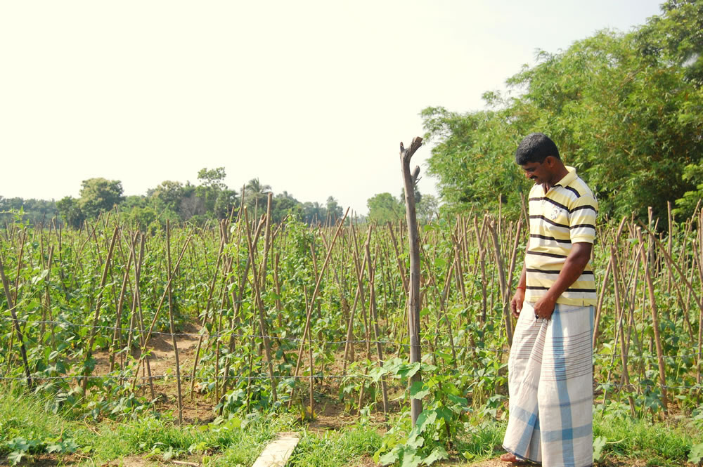 Building natural disaster resilience in Sri Lanka