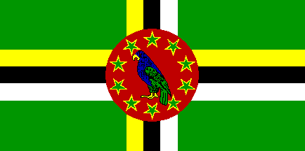 DMA bandera