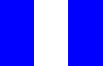 GTM bandera
